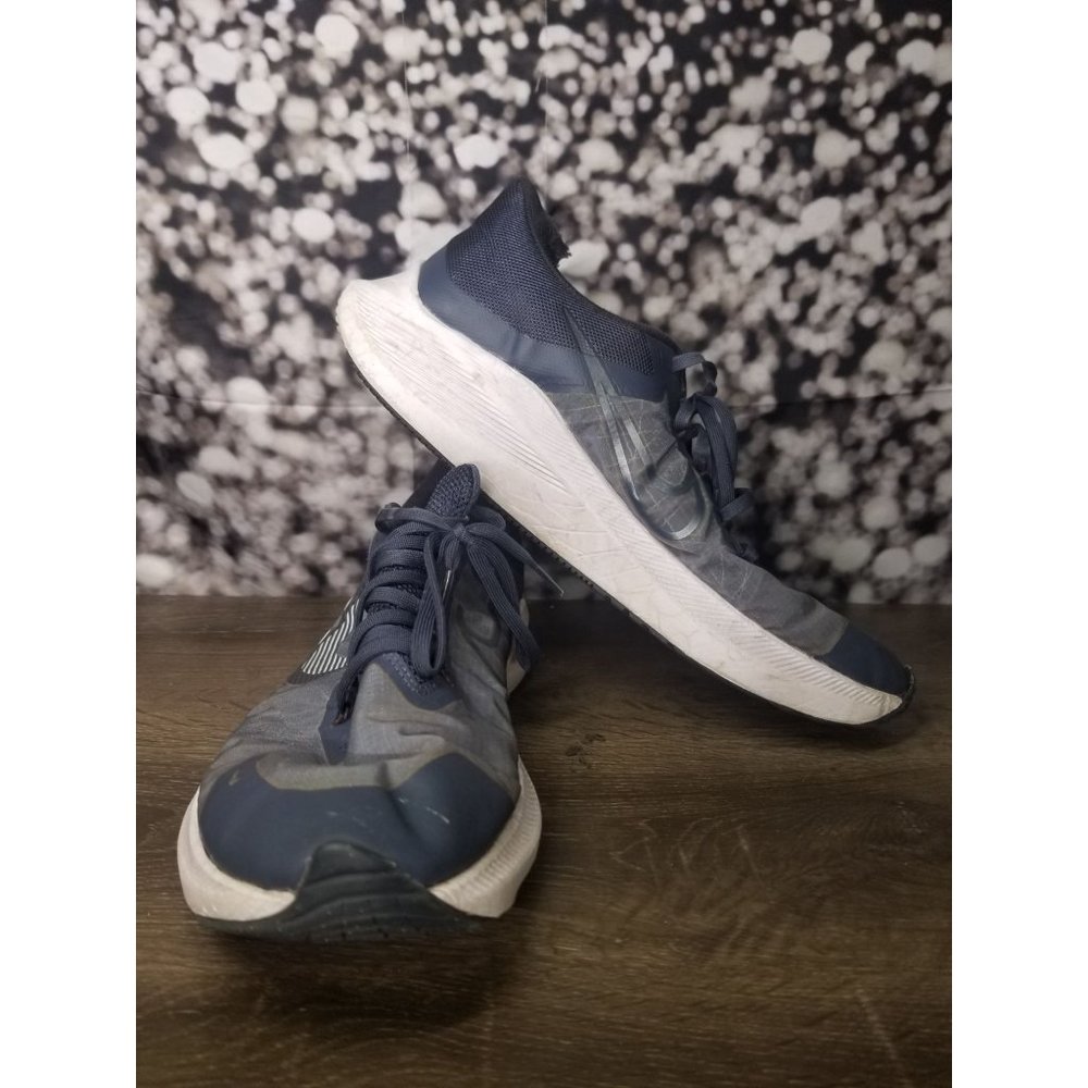 Nike zoom winflo 13